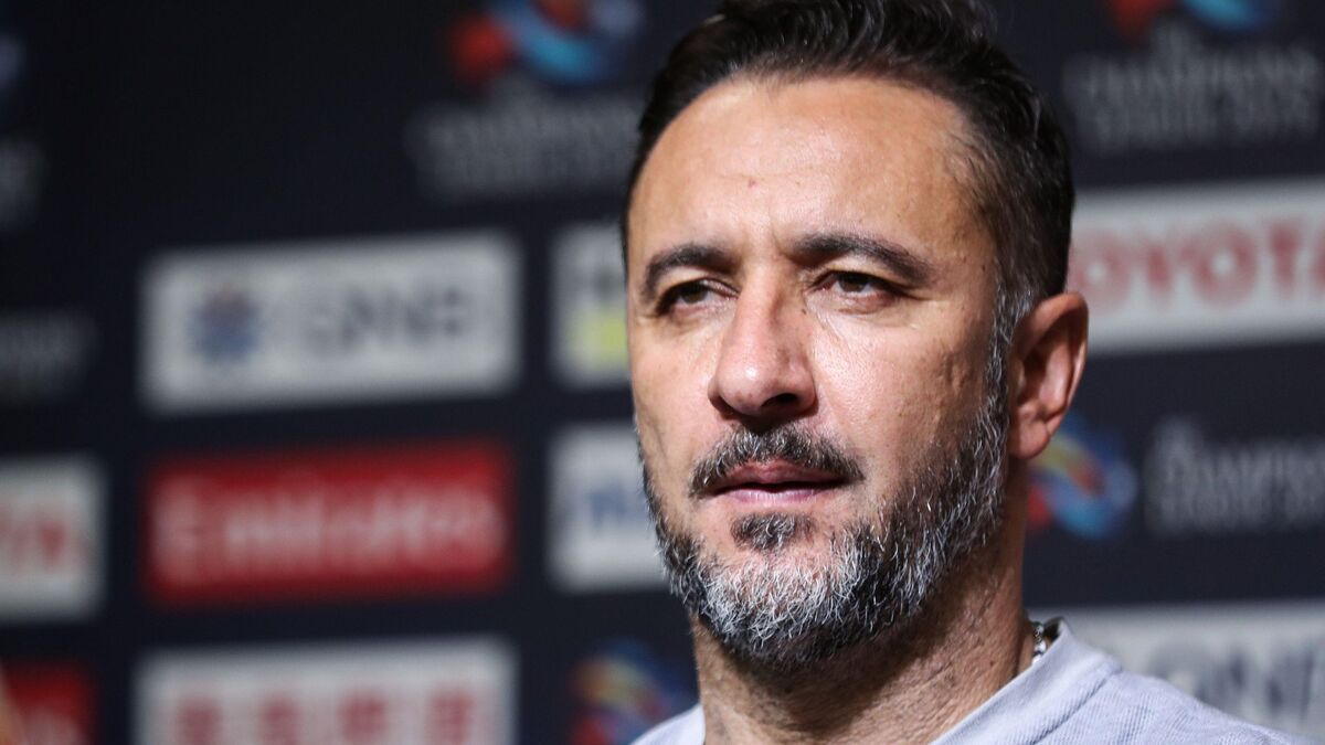 Vitor Pereira has completely changed Wolves's luck since he became part of the team.
