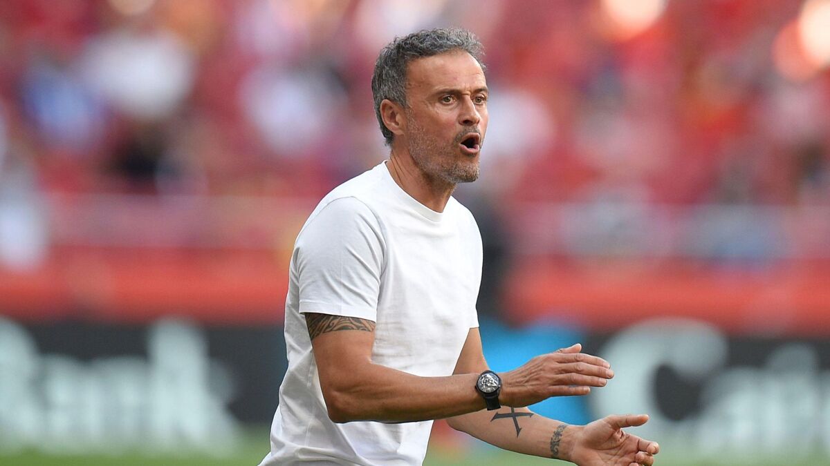 Luis Enrique's team PSG have already become champions of Ligue 1 this season.