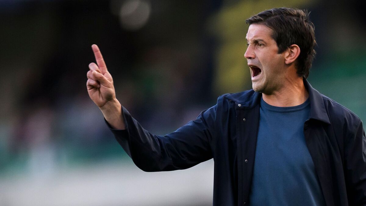 Cristian Chivu's team Parma are in a good position in Serie A, they are four points ahead of the teams in danger of relegation.